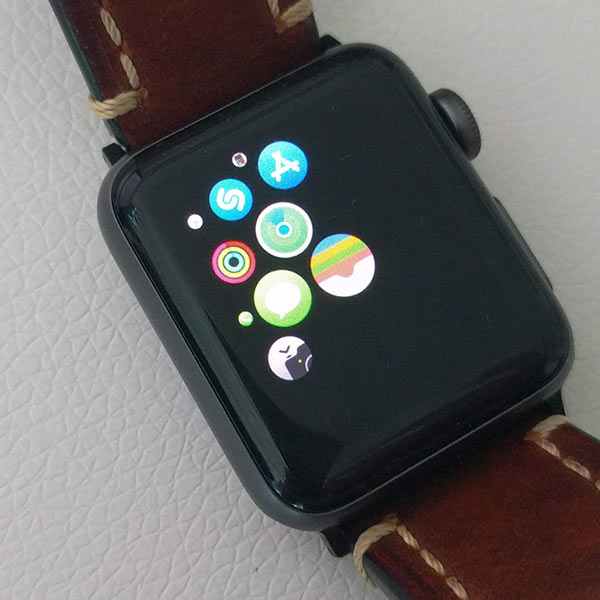 L'application Wallet sur WatchOS